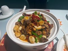 -新疆兵团食府清真(马连道店)