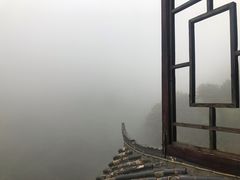 -大围山国家森林公园