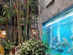 -又见炊烟私房菜(敬亭路店)