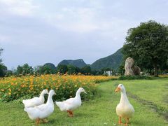 -Club Med地中海俱乐部·桂林度假村