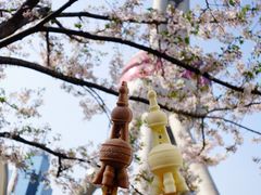 -东方明珠广播电视塔