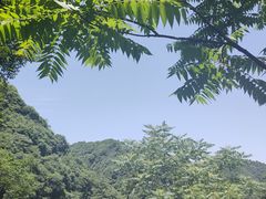 -抱龙峪