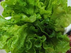 -陈记顺和潮汕牛肉火锅(番禺迎宾大道店)
