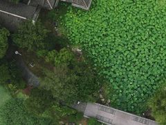 -高子水居