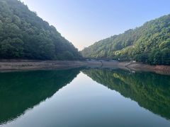 -桃花岭景区