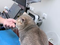 -美联众合动物医院·24h京西诊疗中心