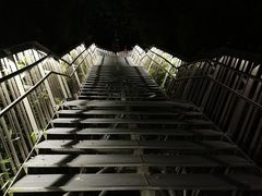 -福道