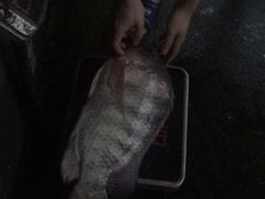 -伟记美食(化龙店)