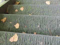 -重庆工商大学(南岸校区)
