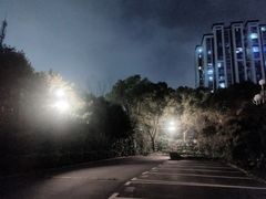-上海虹桥西郊假日酒店