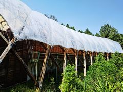 -怀托摩萤火虫洞