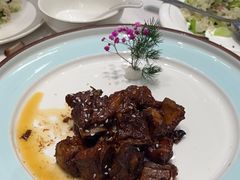 -丁老爷子苏香圆