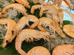 -凯菲厅海鲜姿造·海鲜自助·帝王蟹·龙虾(成都群光君悦酒店)