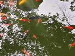 -宝通禅寺