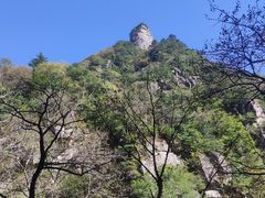 -青峰峡国家森林公园