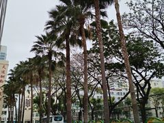 -三亚市第二中学