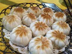 -洞密园美食城(富华路店)