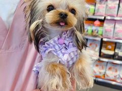 -萌兽医馆·眼科·异宠专科(三里屯店)