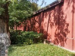 -桂湖森林公园