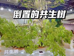 -精绝七日-新疆尼雅遗址数字大展【拉法耶文化艺术中心】