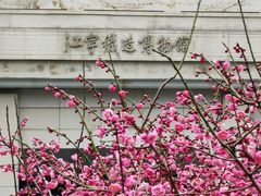 -江宁织造博物馆