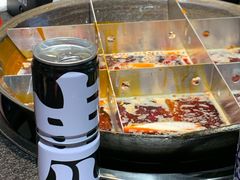 -大虎重庆老火锅(正弘城店)