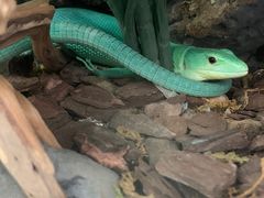 -南宫五洲植物乐园