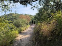 -磬锤峰森林公园