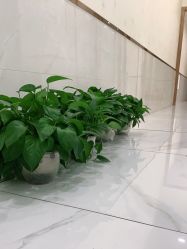 -苗医生专业祛痘·皮肤管理