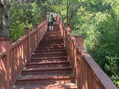 -燕塞湖鸟语林景区