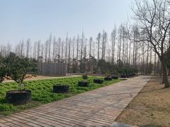 -前小桔亲子创意农场·草莓采摘·露营烧烤