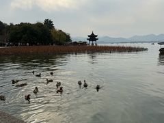 -西湖游船