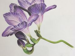 -八哥美术·成人美术画室(总校区)