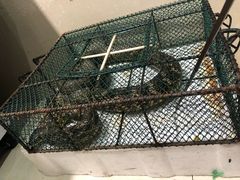 -潮粤香海鲜酒楼(沙湖店)