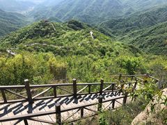 -大岭沟猕猴桃谷风景区