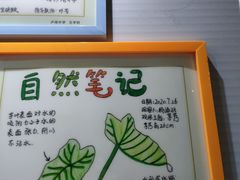 -上海昆虫博物馆