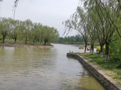 -杨柳青庄园