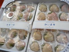 -西郊国际农产品交易中心