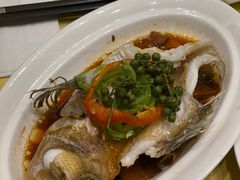 -绿岛国际酒店·海鲜酒楼(八七路店)