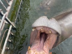 -海南热带野生动植物园