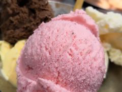 -九寸钉自助·炭火烤肉烧烤(欧乐时尚广场店)