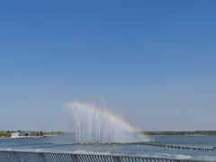 -武清南湖绿博园