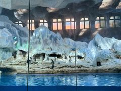 -帝企鹅自助餐厅•儿童岛•真企鹅(长隆企鹅酒店)