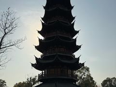 -龙华素斋(龙华路店)