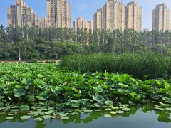 -前关湿地公园