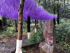 -宝晶宫旅游景区