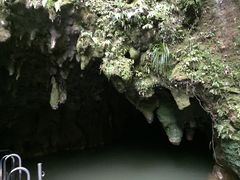 -怀托摩萤火虫洞