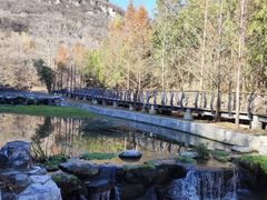 -白水寺森林公园