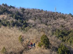 -北京鹫峰国家森林公园
