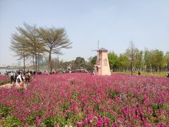-顺峰山公园